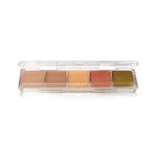Ben Nye Alcohol-Activated Palette - Concealer & Adjuster