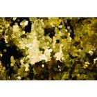 Glitter Chunks - Metallic LEOPOLD LEMONGOLD