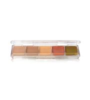 Ben Nye Alcohol-Activated Palette - Concealer & Adjuster