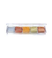 Ben Nye Alcohol Activated Palette - Heavy Metal Metallic  