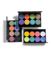 intense pro pigment mehron palette