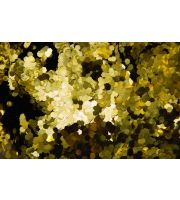 Glitter Chunks - Metallic LEOPOLD LEMONGOLD